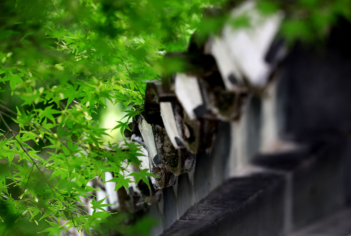 夏至演讲稿：1000字解读夏至的文化与意义