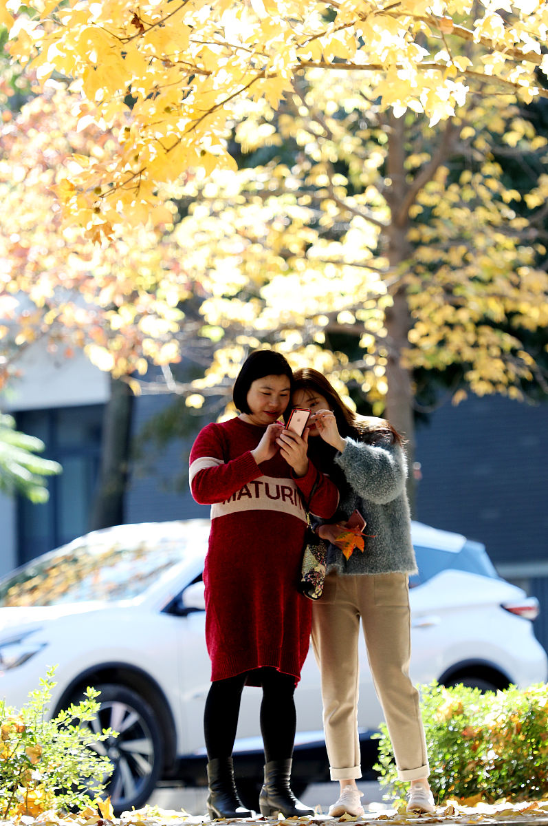 云南师范学院文理学院2022年幼师招生简章：政策、要求、发展方向