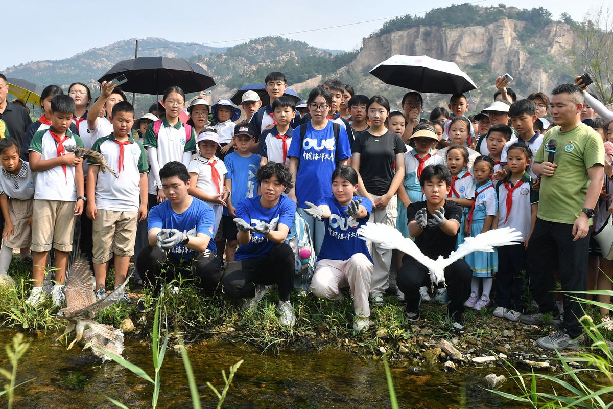 写10条评论：暑假去哪玩？浙里研学游想走就走