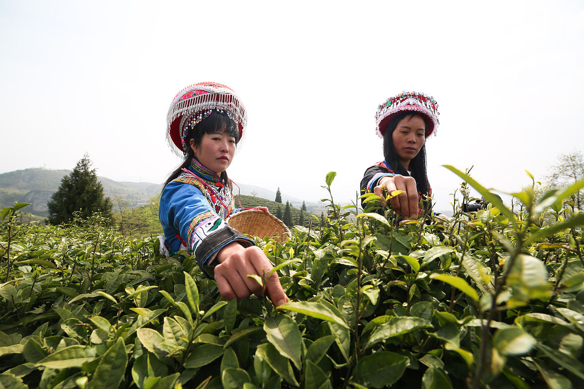 贵州建设学校2023年招生简章 - 报考条件|招生政策|录取规则