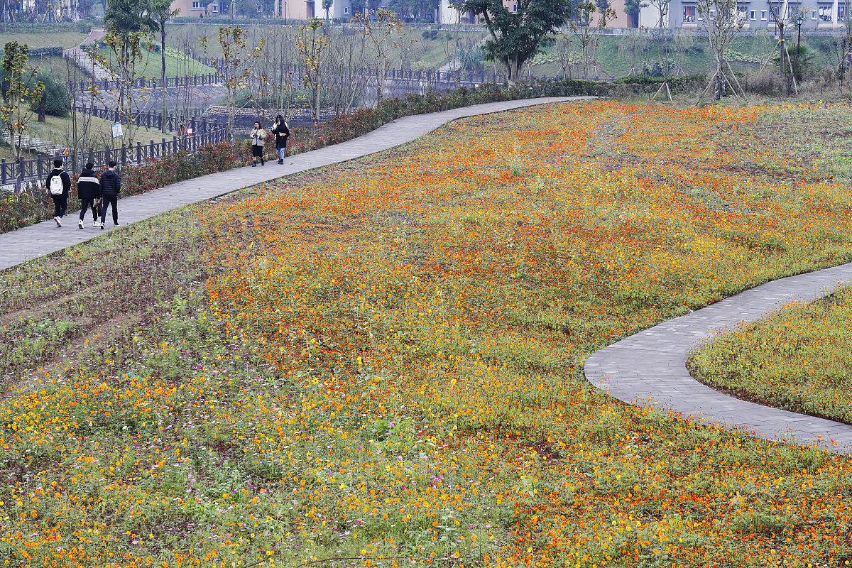 云南商务职业学院2022年三年制普通中专招生简章-官网