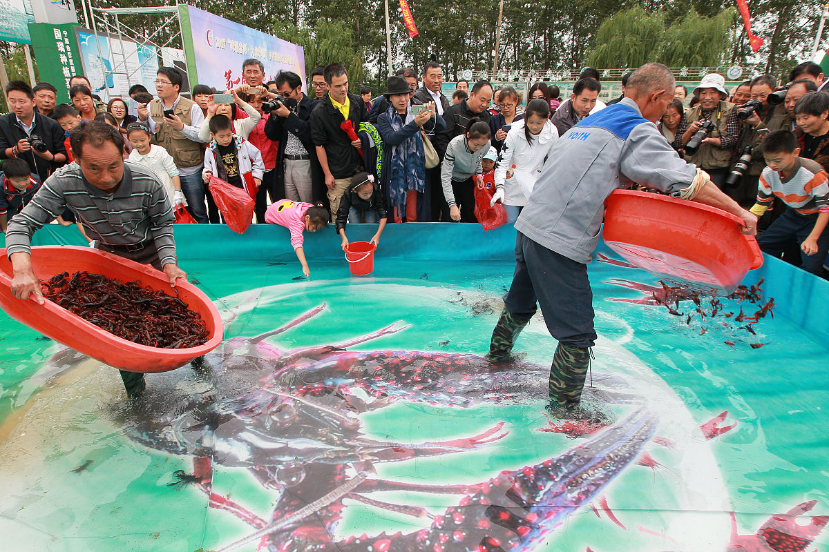 铃芽之旅图书的内容