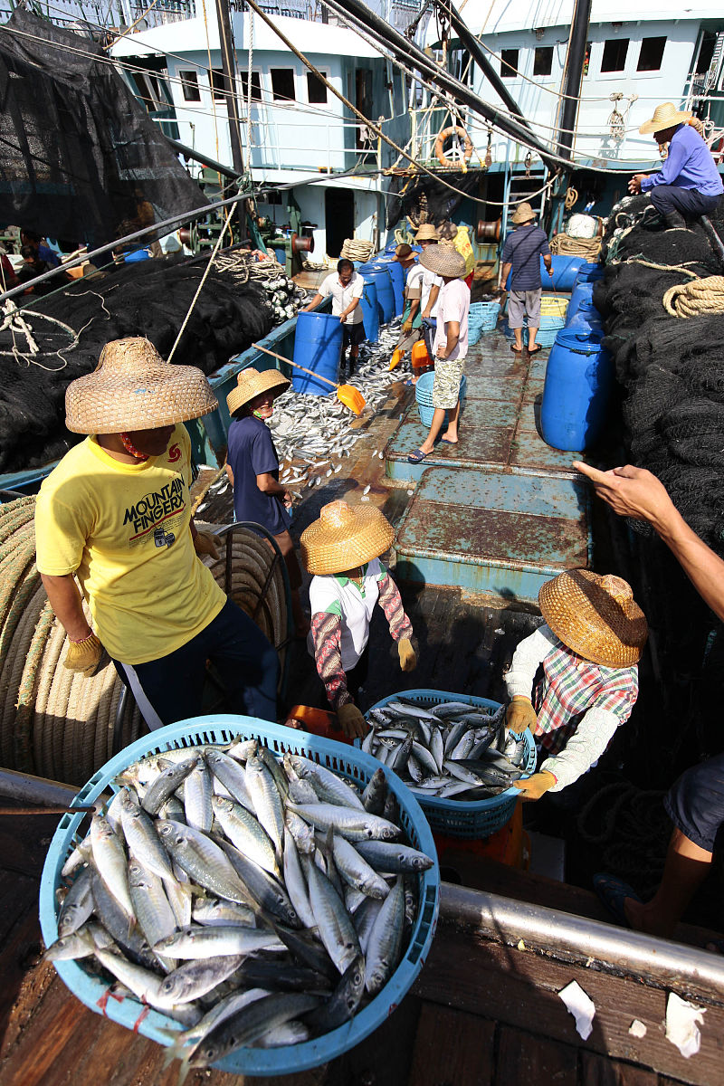 中山哪里收黄鱼的价格最高回答加拓展