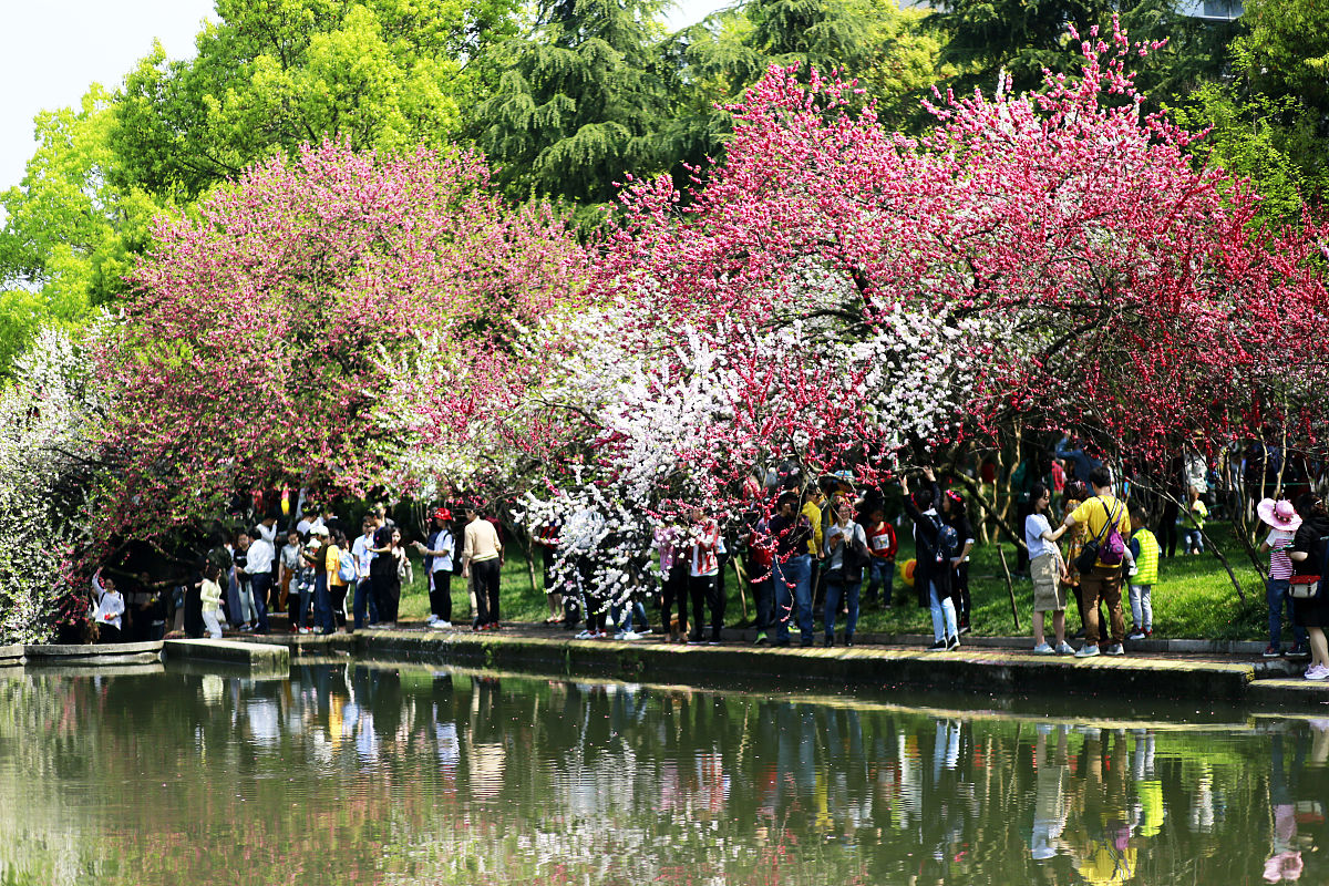 重庆三峡联合职业大学招生专业：工程、信息技术、商务管理、艺术设计