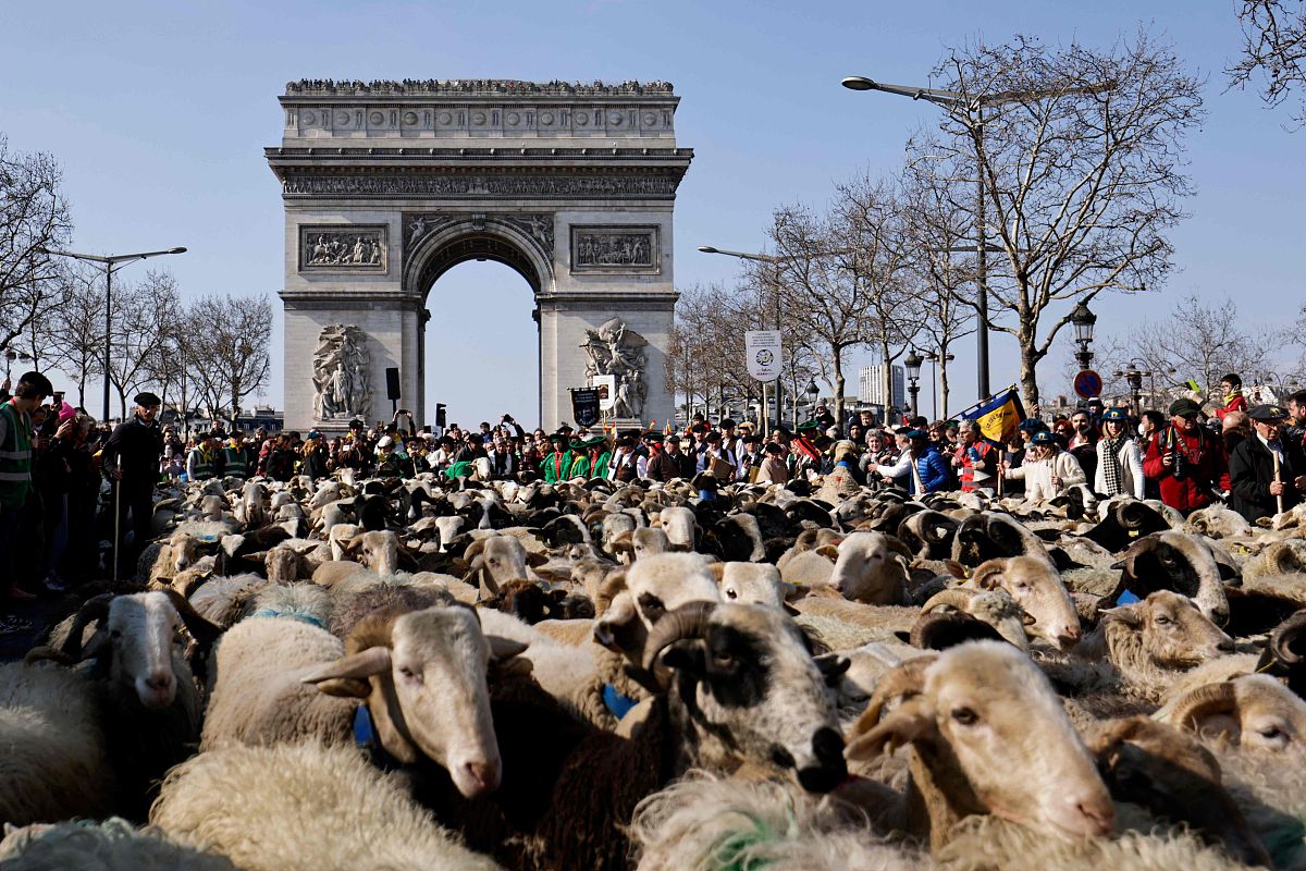 玉溪农业学校2022年招生简章 - 培养优秀的农业人才