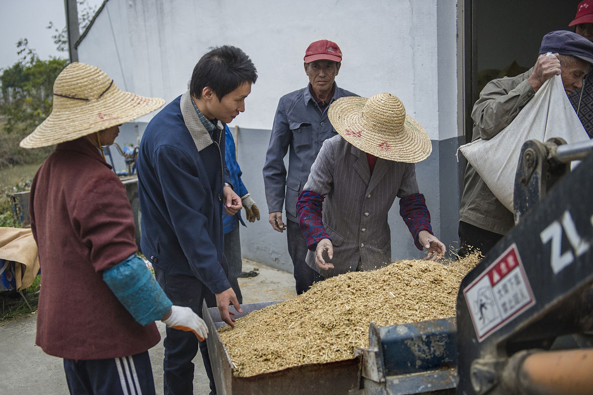 在中国社会中的传统行业都有哪些