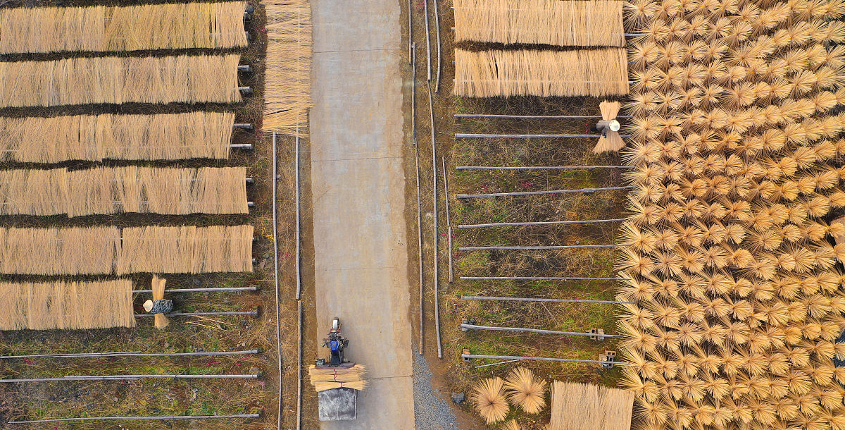 按照学习强国理论文章的模式修改这段话：目前云南省花卉产业规模不断壮大布局日趋合理产品更加丰富市场行情稳中有升花农收入持续增长。同时云南的花卉产业也形成了多产品齐头并进一二三产业融合发展的良好格局。打造花卉产业集群和产业园区发挥企业、基地、农户的优势形成企业+合作社+基地+农户的绑定发展模式并形成租金+薪金+股金利益联结机制让农村闲置资源变成助推农民增收的资源。为了进一步挖掘云南鲜花产业的潜力可打造