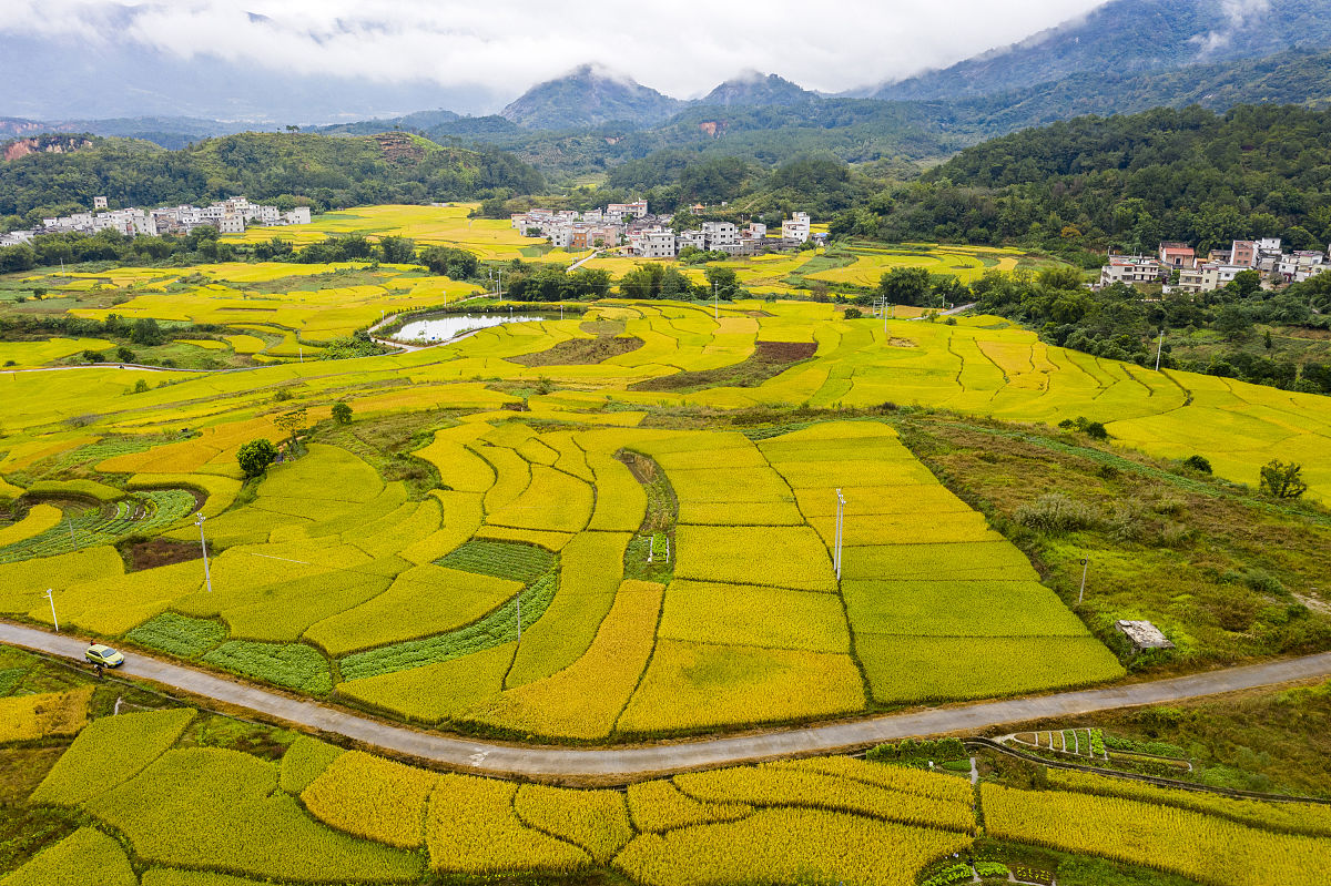 肇庆第一中等职业学校2021年招生专业 | 培养汽车维修、酒店管理等人才