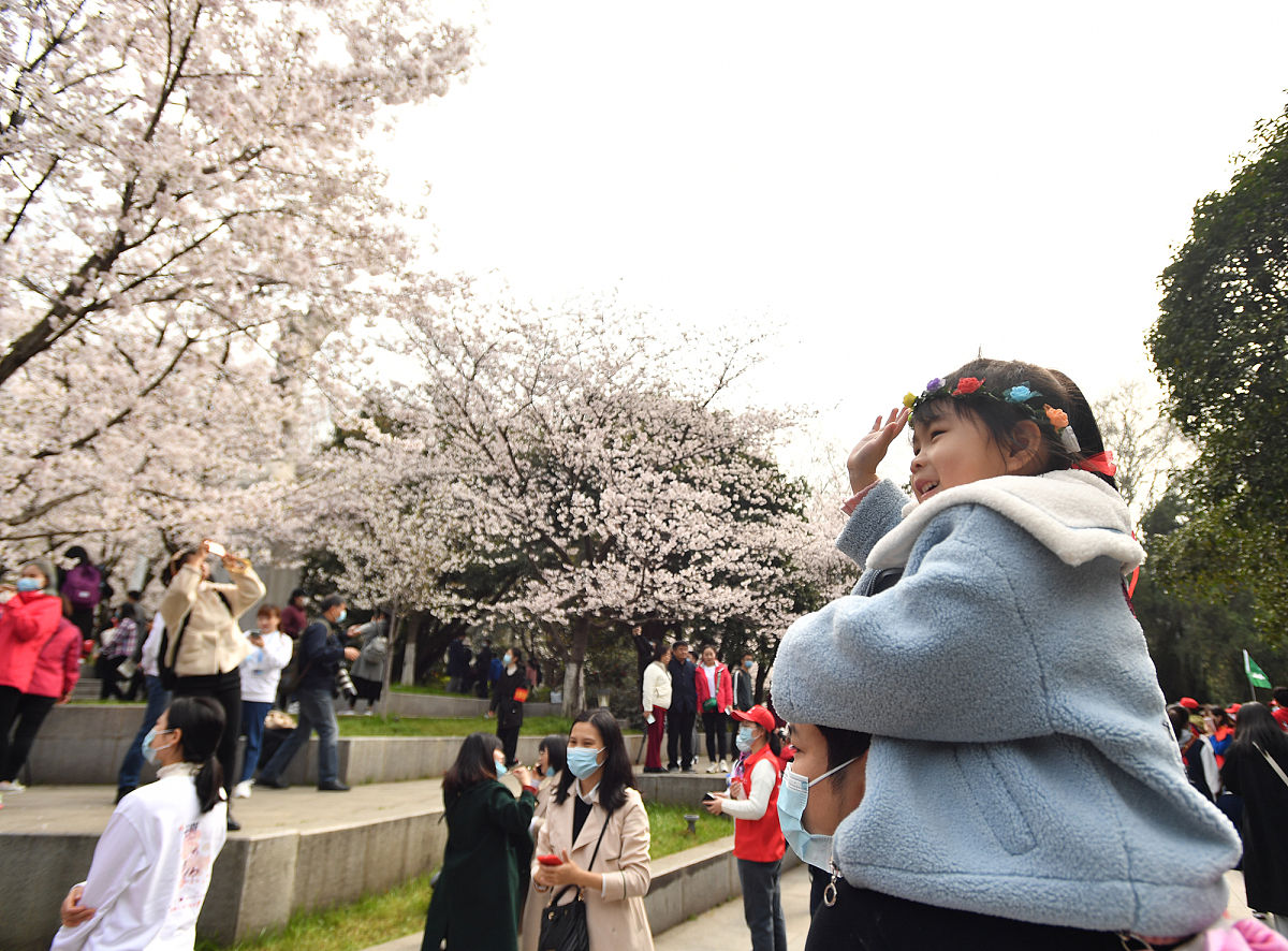 为什么说武汉是一座英雄的城市详细举例说明