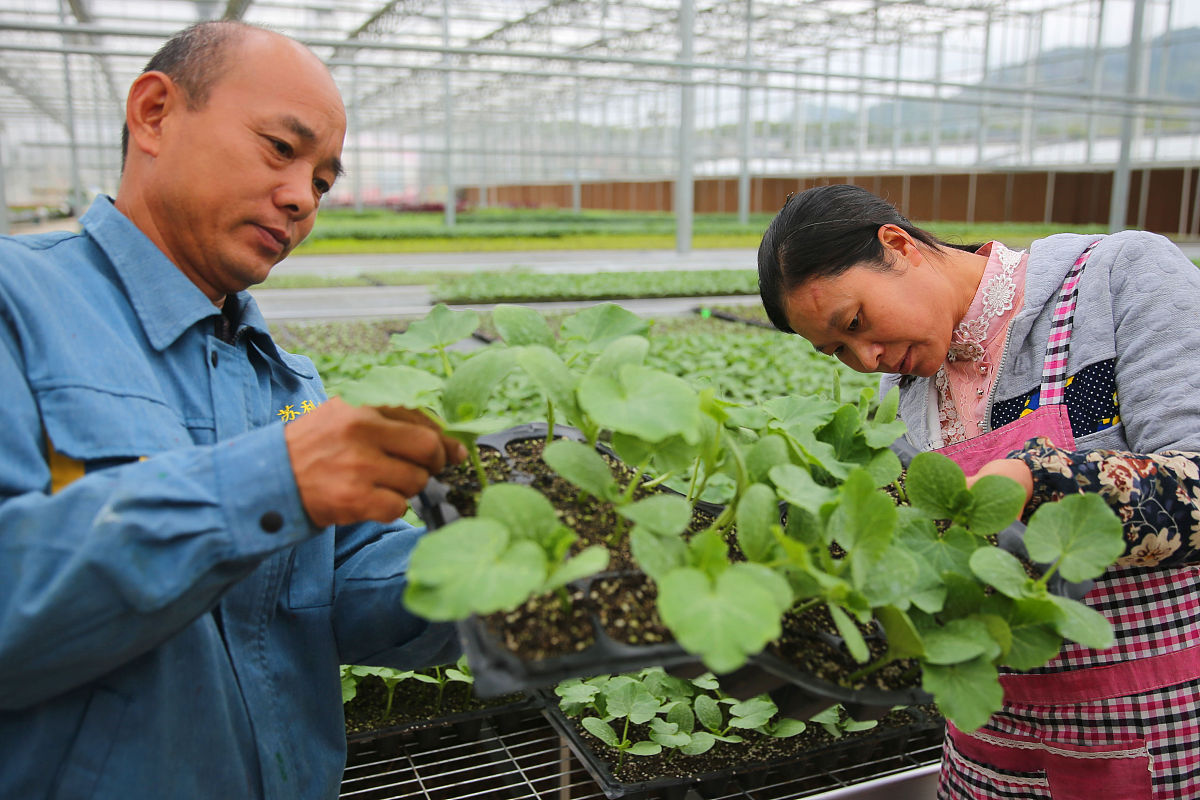 以高质量发展推进中国式现代化