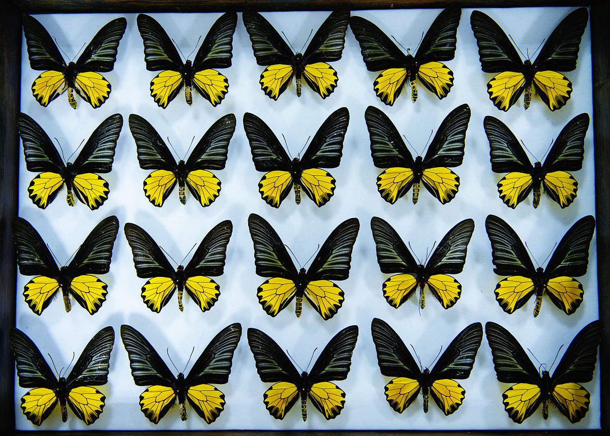 成都财贸职业中专学校2020年招生条件 - 报考指南