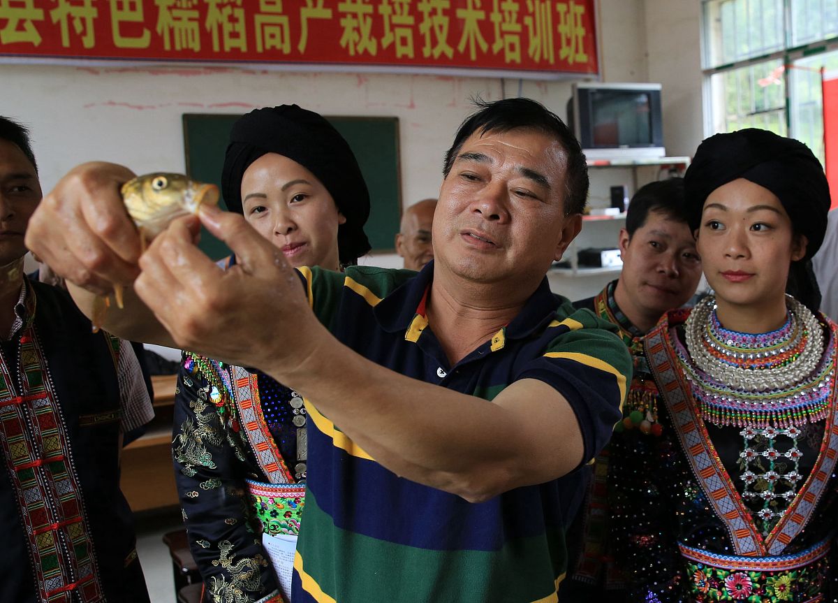 函数项级数收敛判定方法 - 常见判别法详解