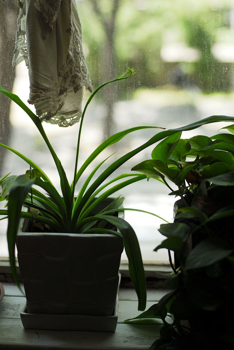 河北政法职业学院商品花卉专业课程设置有哪些