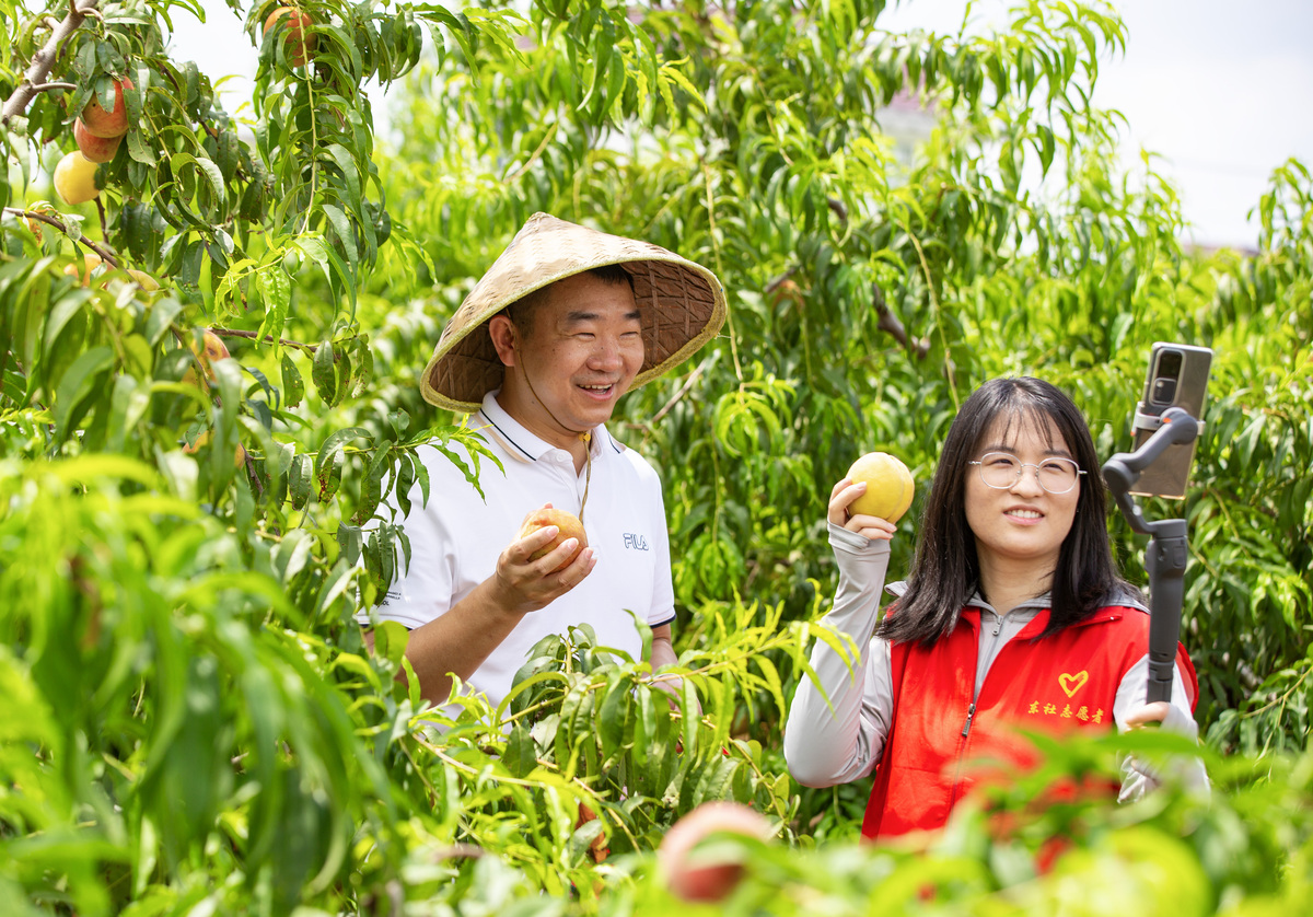 核桃种植中进行素质教育