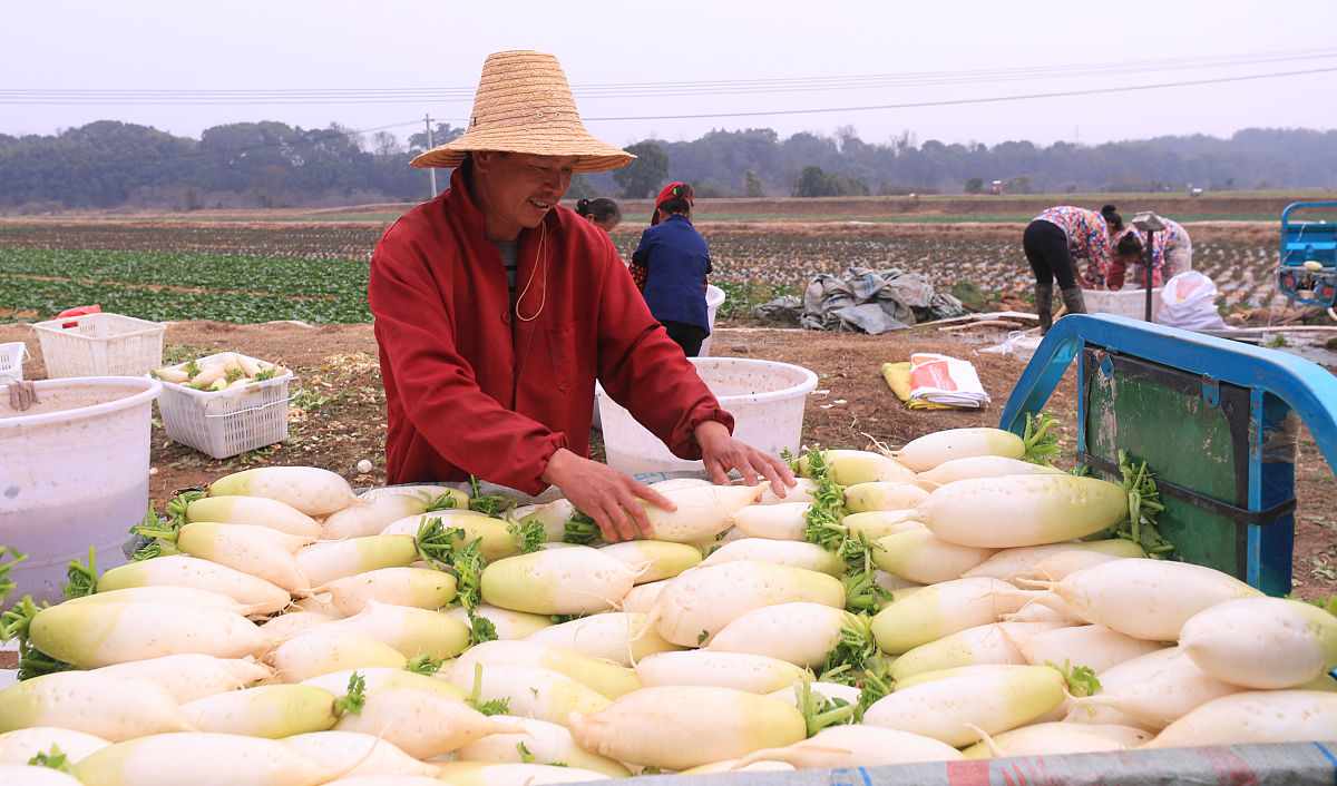 江西长江理工专修学院2021年招生专业都有哪些