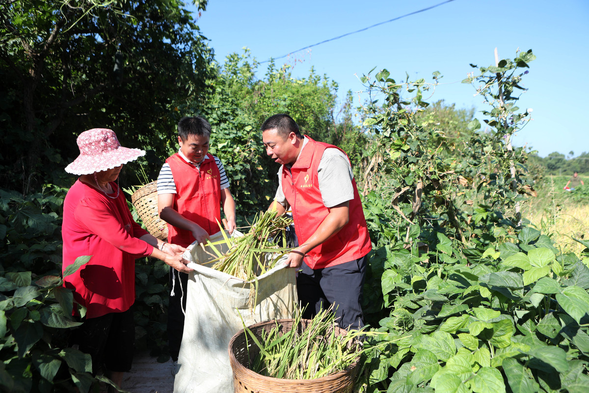 核桃种植人才培养方法：从培训到经验分享