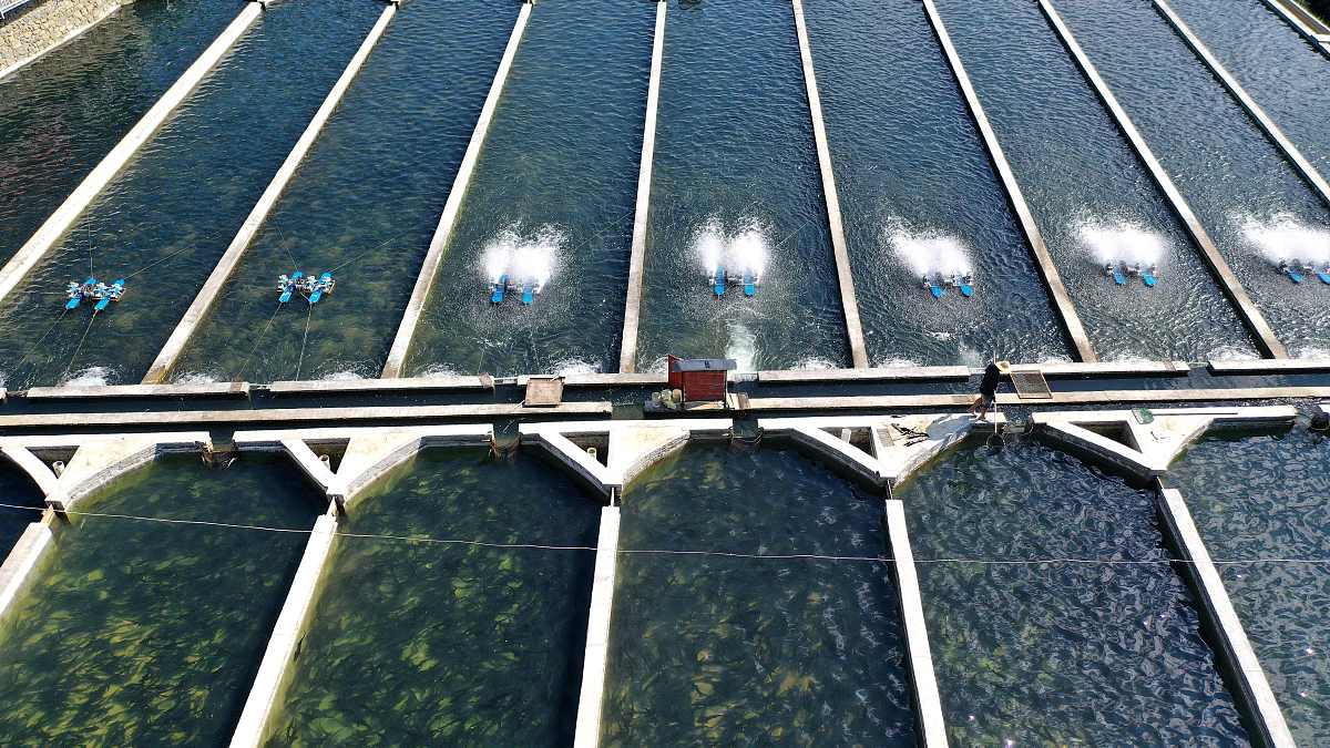 设计一个海水淡化装置设计的方案