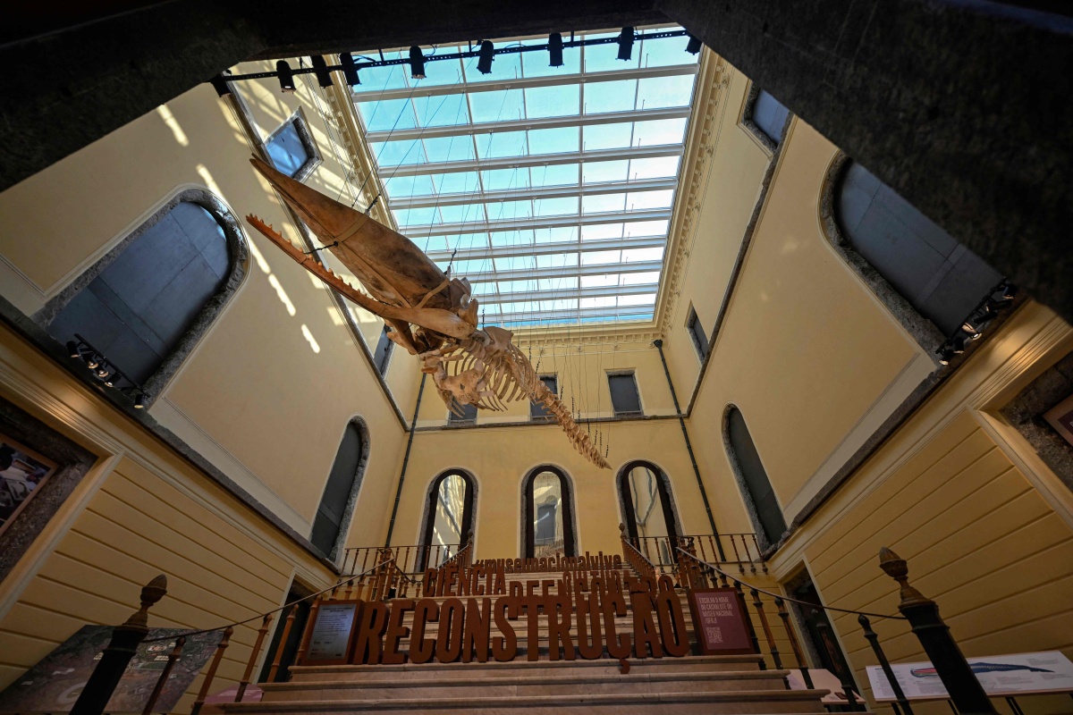 Shanghai Jewish Refugee Museum: A Story of Resilience and Compassion