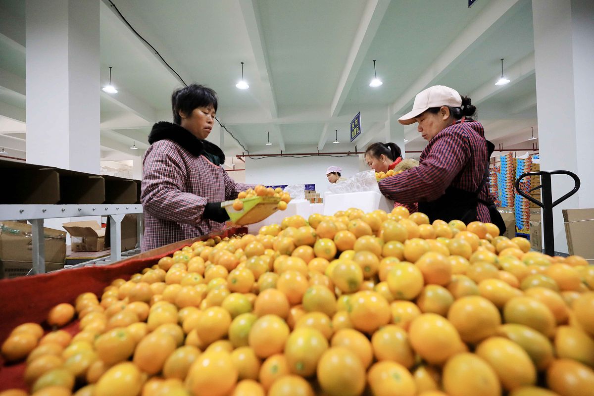 柳江职业教育中心2021年有哪些招生专业