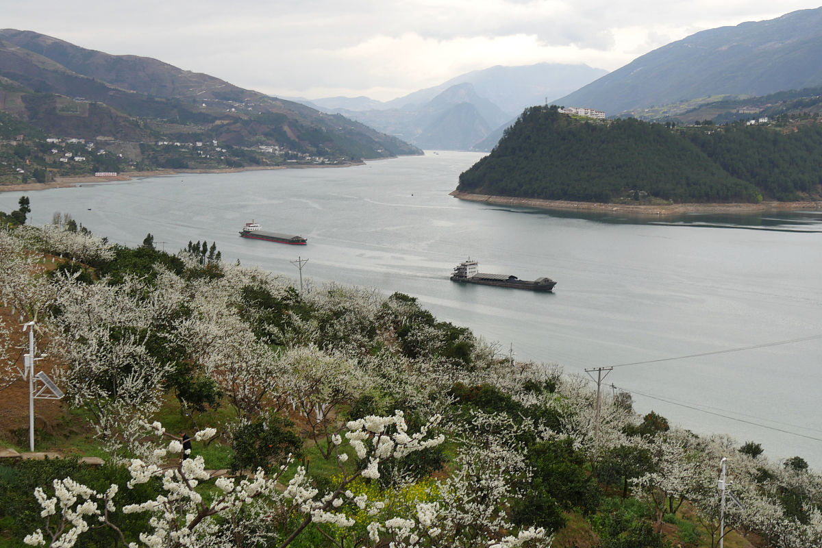重庆三峡医药高等专科学校护理专业怎么样都要学些什么内容