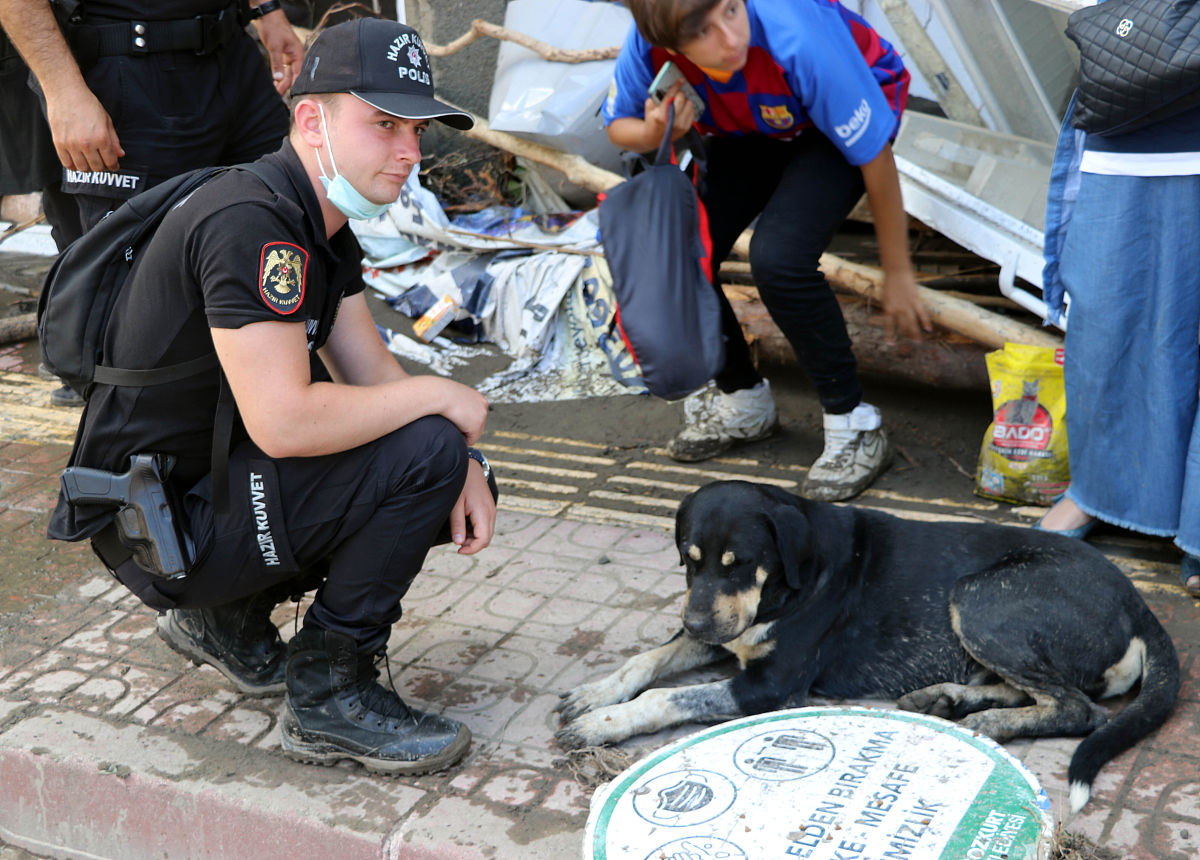 保教人员工作指引手册