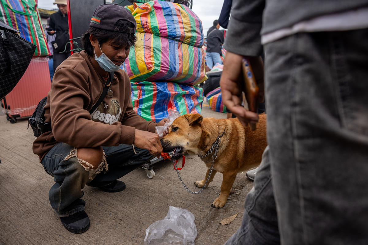 在中国救助落水狗属于什么行为
