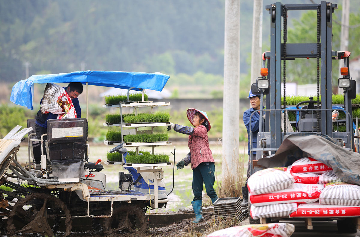考官分压你在乡镇做一个移动农科站如何组织怎么回答