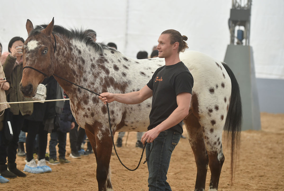 cavalia·舞马》在南京揭开神秘面纱,来自<strong>世界</strong>各地的40匹宝马齐聚汤山