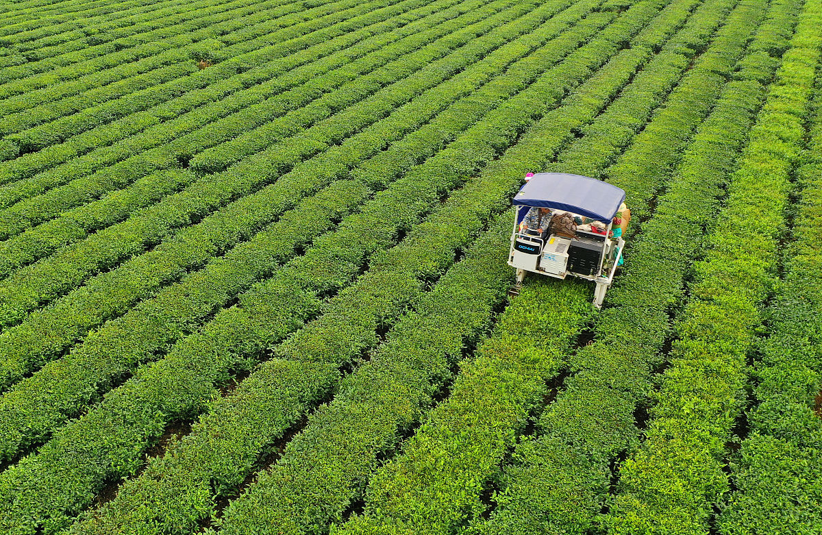 云南曲靖市农业学校2023年计划内招生专业