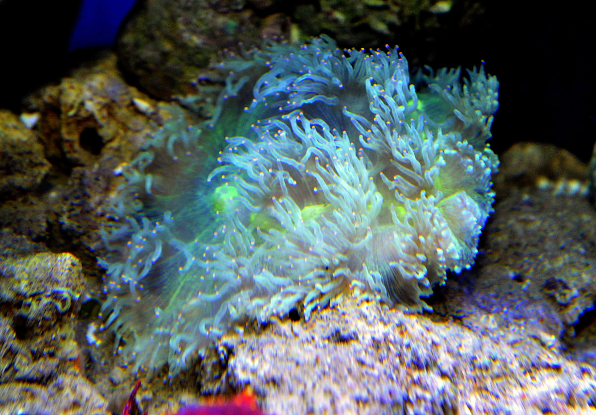 大连海洋学校就业前景怎样？用