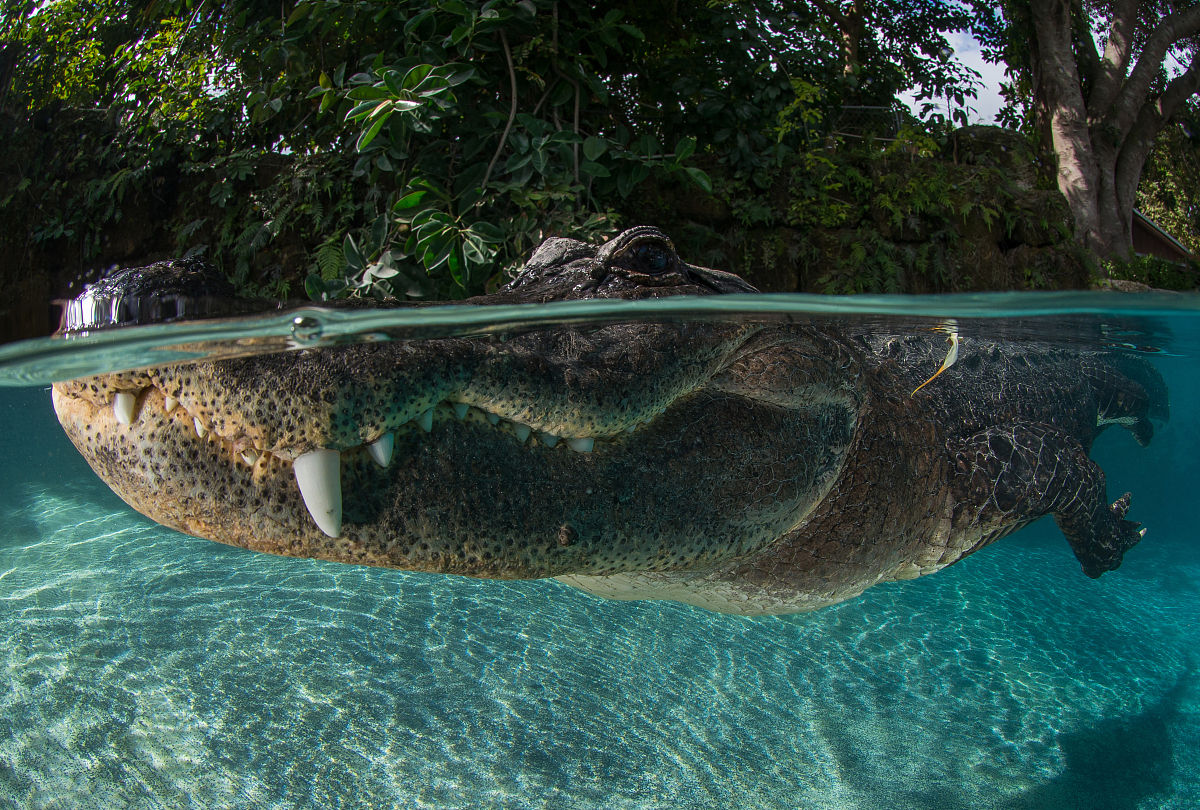 辽宁广告职业学院广告设计与制作专业怎么样