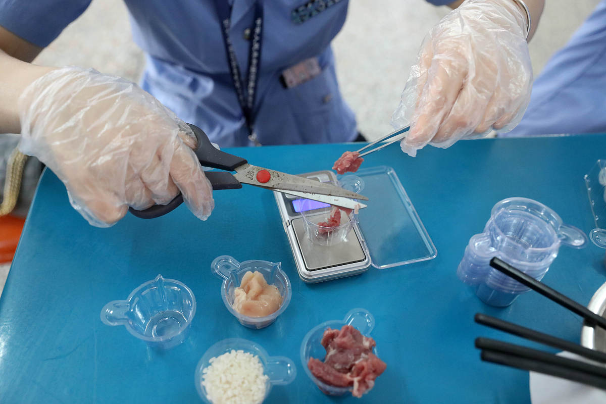 针刺治疗痛经的动物实验研究方案