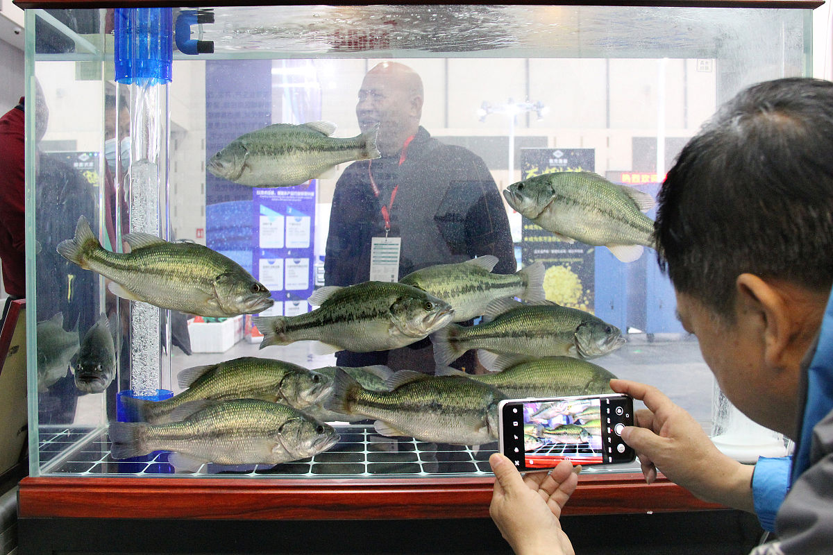 长岛水产职业中等专业学校2021年招生专业：水产养殖、水产加工、水产营销