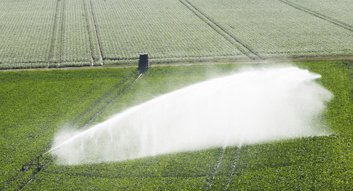 变量喷药系统设计：精准喷药，高效农业