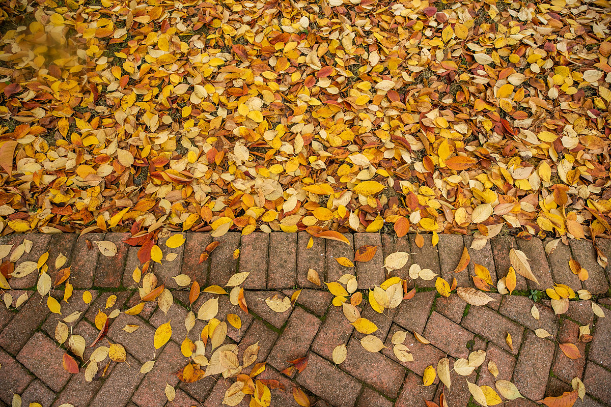 贵州职业技术学院热门专业有哪些