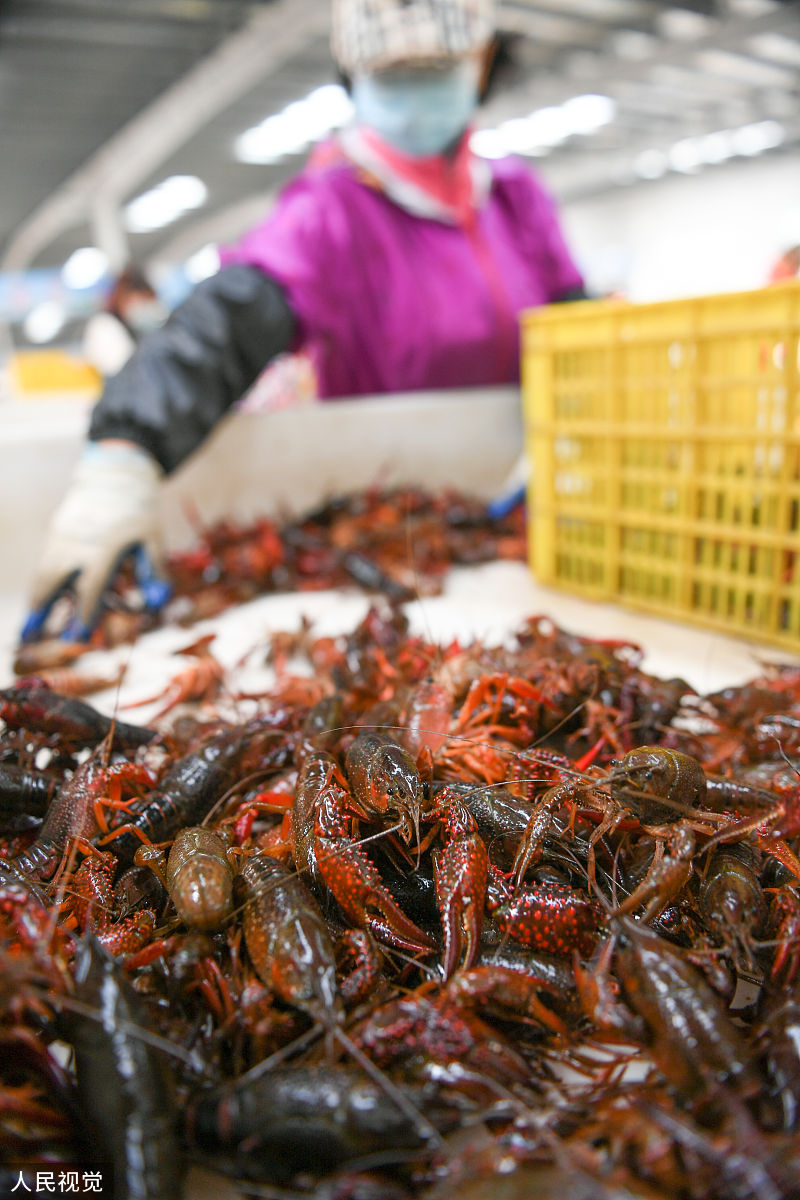 小龙虾死后多久不能吃了