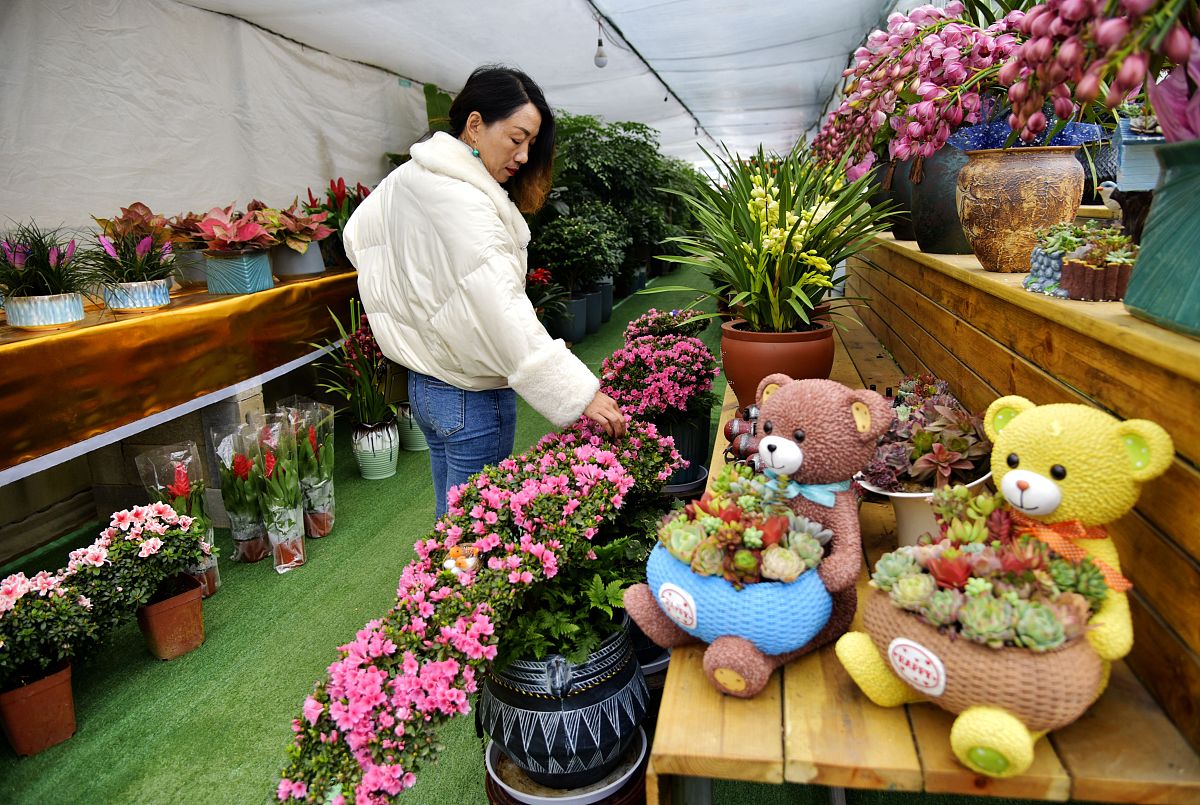 学校的小花园：充满生机与活力的绿洲
