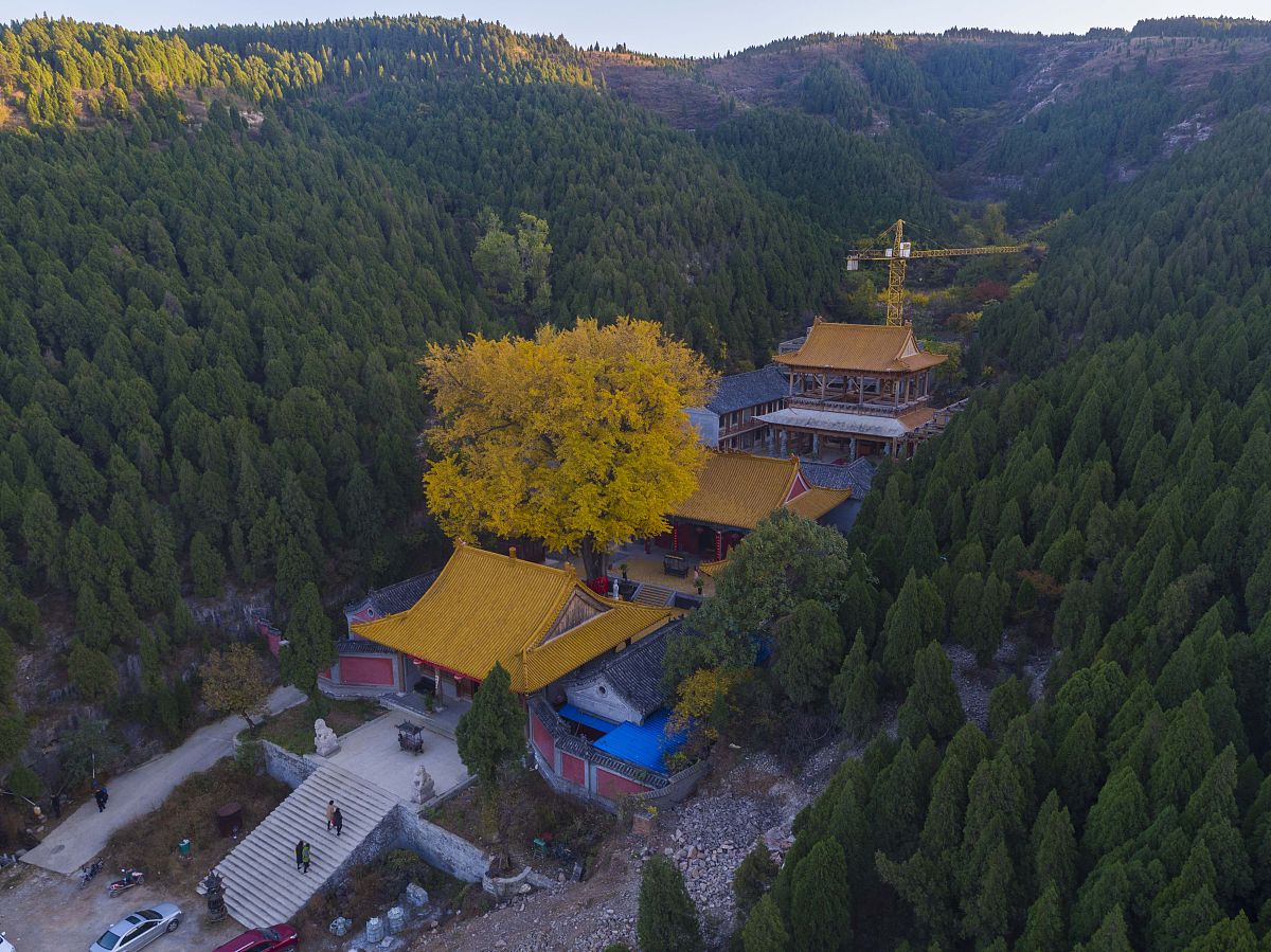 描写秋天的诗歌：感受秋日美景，品味诗情画意