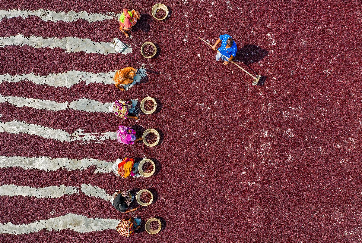 红枣一天吃几颗