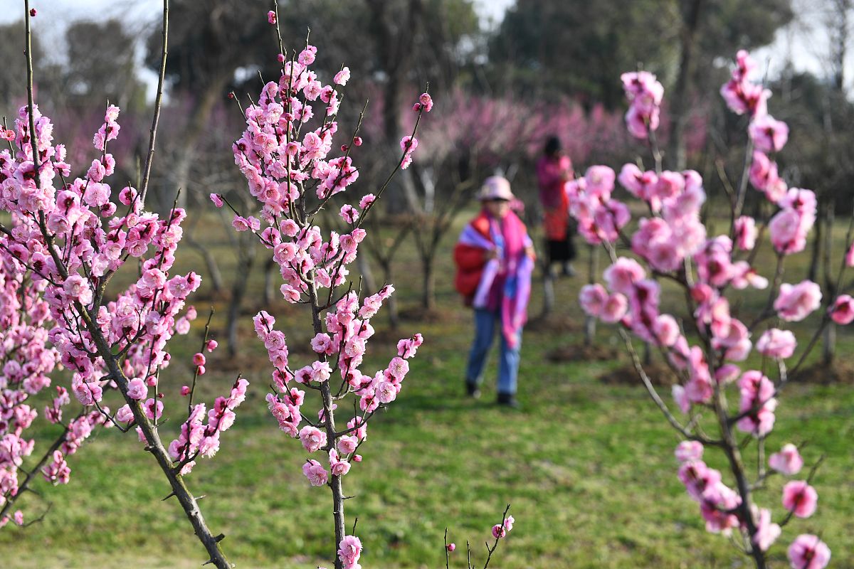 合肥市媒体热线电话：倾听民声，服务市民