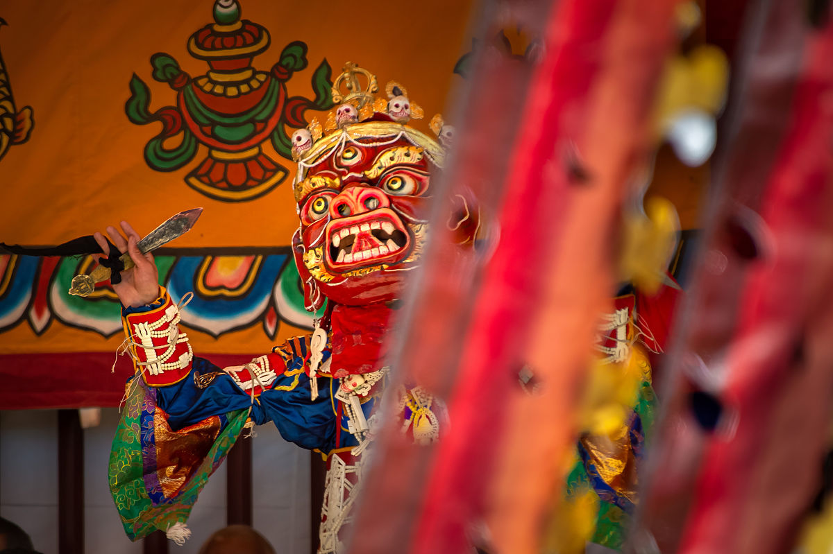 子洲县富发公司黄芪产品品牌形象优化策略