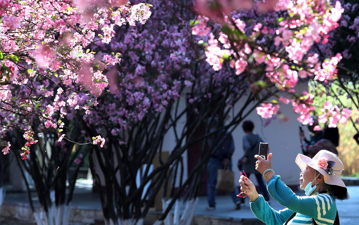 昆明2022年卫校专科学校