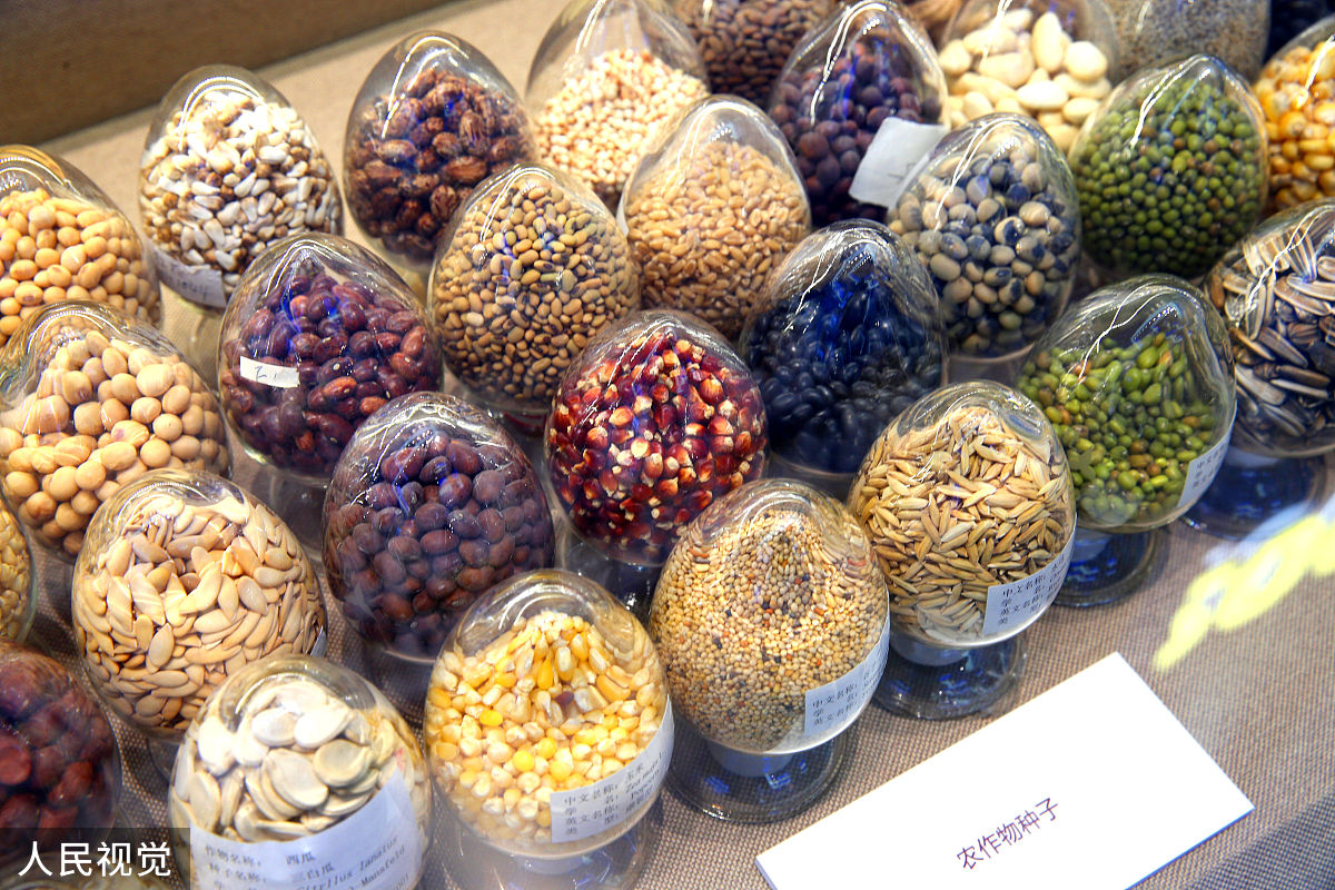 职教兴国：中国现代化之路的职业教育支撑