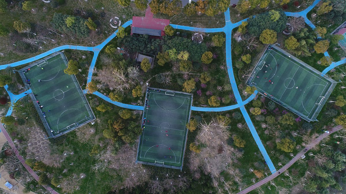 如何撰写题目为生态性背景下城市智慧公园的建造论文中的规划布局理念部分