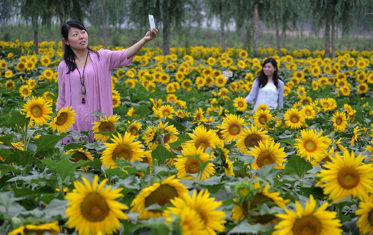广平职教中心2023年地址在哪里