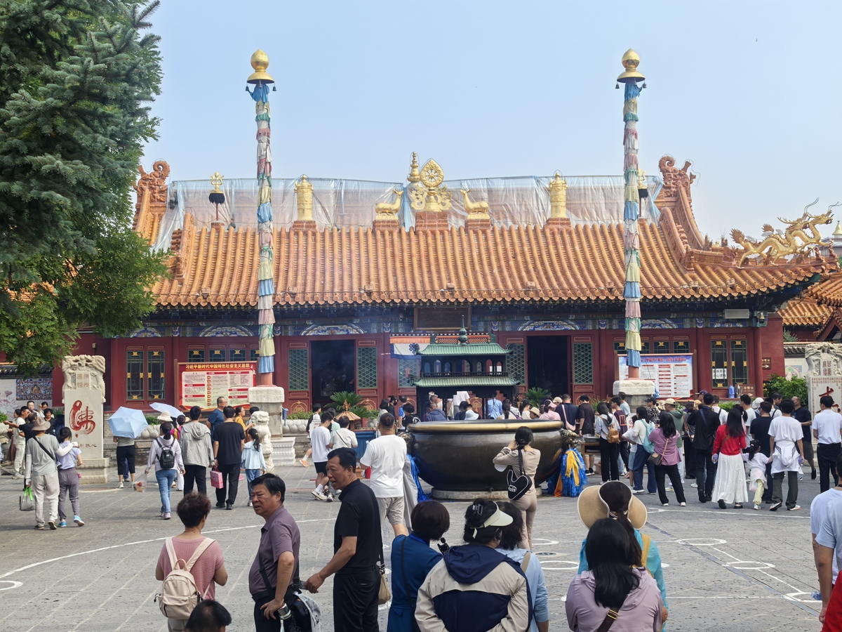 大召旅游区游客吸引力分析：交通、标识、无障碍及信息化问题