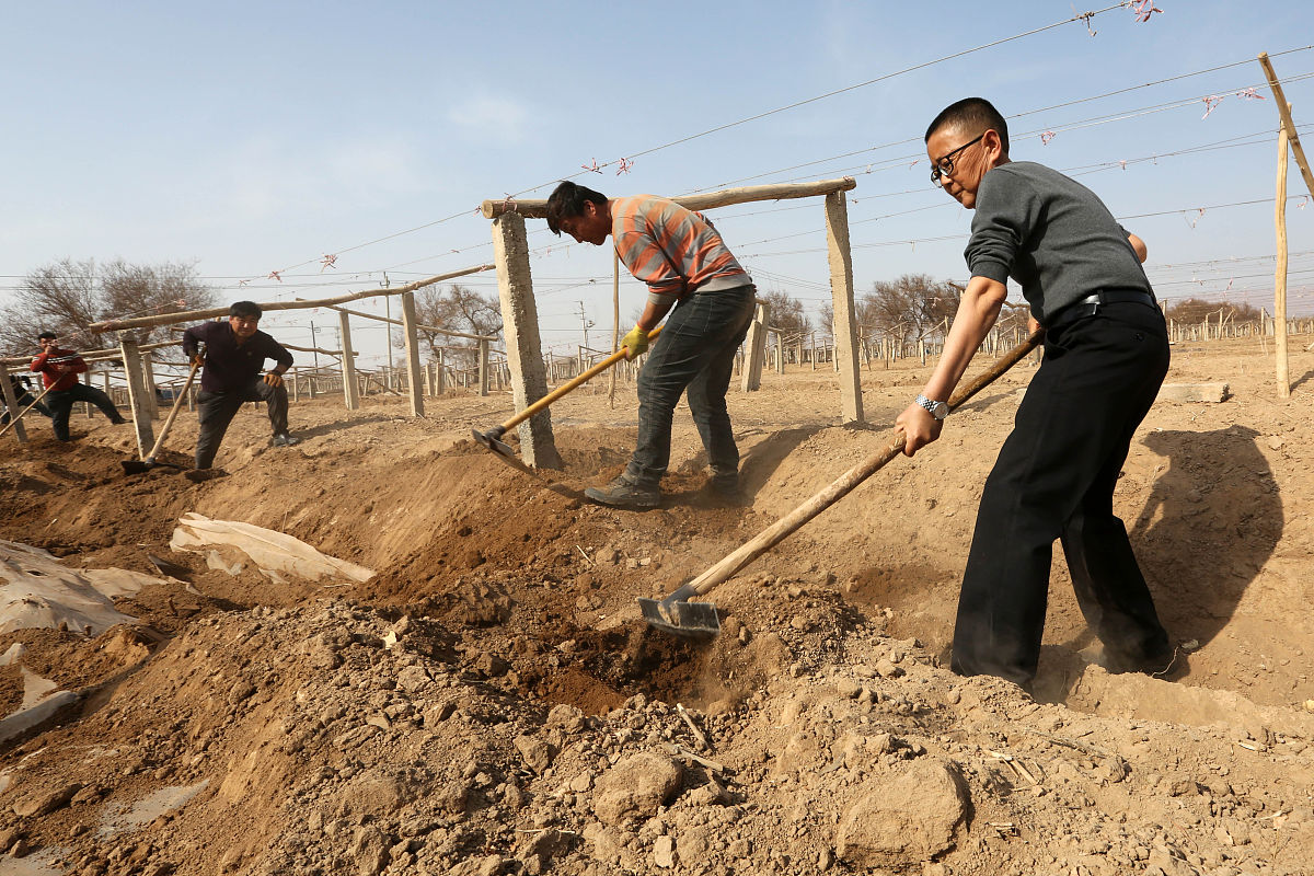 自己开荒地遇到占地怎么补偿。要求：写一篇500字左右的文章不能出现电话。