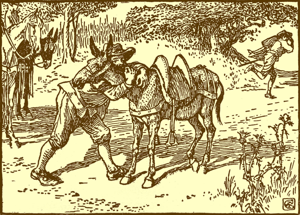 原始农耕生活 听课报告