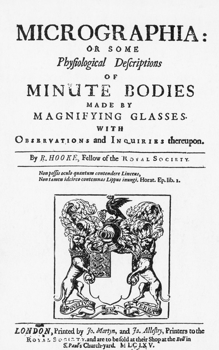 PROCEEDINGS OF THE ROYAL SOCIETY OF EDINBURGH SECTION A-MATHEMATICS期刊收录哪些类型的稿件？