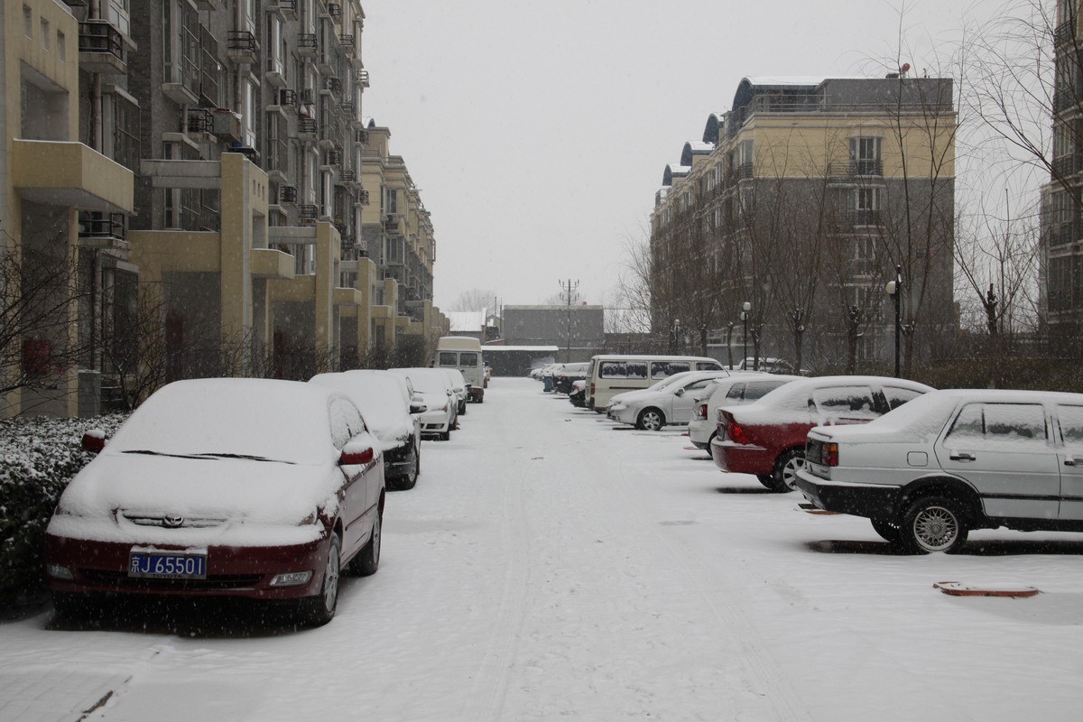 北京南部一小区里已被大雪覆盖.